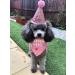 BIPY Dog 1st Birthday Hat Bandanas Set for Girls Small Medium Pets Pink Headdress Costumes Grooming Supplies for Party Celebration Decoration PINK-HatBandana - Buy Online on GoSupps.com