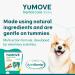 Lintbells YuMOVE Dental Care | Dental Sticks for Small Dogs | 14 Pack | Tasty Chews with Natural Ingredients which Target Plaque & Freshen Breath White 14 count (Pack of 1) - Buy Online on GoSupps.com