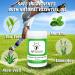 Natouch Body Wipes - Rinse Free Gym Wipes for Athletes Foot, Jock Itch, Ringworm - Ideal for Wrestling & Martial Arts - Buy Online on GoSupps.com