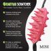 Travel-Sized Cactus Back Scratchers | Mini Back Scratchers with Aggressive & Soft Spikes - Perfect Post-Op Gift - Buy Online on GoSupps.com