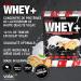 Buy Honest Whey Protein Powder - Apple Strudel Flavor (1000g) | Instant Soluble with EAA & BCAA - High-Quality Pasture Milk - Buy Online on GoSupps.com