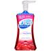 Dial Complete Antibacterial Foaming Hand Wash Power Berries 7.5 Ounce