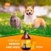 Salmon Oil for Dogs UK - 100% Natural Omega-3 Fish Oil Supplement - Promotes Healthy Skin and Coat - 500ml - Buy Online on GoSupps.com