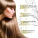 Natural Hair Growth Oil | Veganic Rosemary Oil for Dry Damaged Hair (2 Fl Oz) - Boost Your Hair Wellness - Buy Online on GoSupps.com