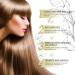 DSSdoliV Veganic Hair Growth Oil - 100% Natural Rosemary & Argan Oil for Unisex Hair Loss & Thickening | 2.02 Fl Oz - Buy Online on GoSupps.com
