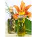 Rose Thai Aroma Oil - 100ml - Premium Massage Oil with Authentic Thailand Scent - Natural Rose Oil for Relaxation - Buy Online on GoSupps.com
