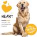 maxxipaws maxxicardio Heart and Cardiovascular Supplement for Dogs Powder 150 g 150 g (Pack of 1) - Buy Online on GoSupps.com