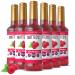 Matteo's Sugar-Free Fruit Syrup Sweeteners for all types of Beverages - for Pastry Dessert Kitchen Restaurant and Bars Authentic Raspberry Flavor Tart Sweet Non Alcoholic Syrup (750mL 6pk) 750 ml (Pack of 6)