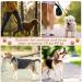 Tealed 2.5m Double-Leash for Large & Medium Dogs - Premium Dog Leash for Comfortable Walks | International Shipping Available - Buy Online on GoSupps.com