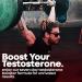Herbtonics Testosterone Booster for Men - Vegan Size & Stamina Enhancement Pills with Ginseng & Tribulus Terrestris - Buy Online on GoSupps.com
