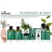 Difeel Rosemary & Mint Hair Strengthening Shampoo & Conditioner Set - Sulfate & Paraben Free | Biotin Infused | 12 oz Each - International Shipping Available - Buy Online on GoSupps.com