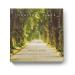 Provence Sante PS Soap Linden 2.7oz 4 Bar