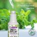 Mighty Mint 16oz Spider Repellent Peppermint Oil Spray - Natural Killer and Deterrent for Spiders and Insects - Buy Online on GoSupps.com
