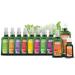 Buy WELEDA Sea Buckthorn Body Oil 100ml | Nourishing Skin Care | International Shipping Available - Buy Online on GoSupps.com