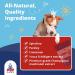 Pup Labs Fresh Breathies: All-Natural Dental Chews for Dogs - Supports Gut Health & Immune System - Made in USA - 60 Chews - Buy Online on GoSupps.com