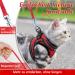 Rabbitgoo Adjustable Cat Harness & Leash Set - Reflective Soft Strap for Cats & Kittens - Red (1 Pack) - Ideal for International Shipping - Buy Online on GoSupps.com