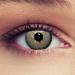 Design lenses gray colored contact lenses with strength for a natural effect 1 pair (2st) monthly lenses suitable for dark eyes + free container -4.00 "dimension gray" -4.00