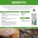 Veterinary Formula Hypoallergenic Shampoo for Dogs & Cats - 16 Oz | Gentle Pet Shampoo for Allergies & Sensitive Skin, Promotes Healthy Coat - Buy Online on GoSupps.com