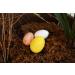 90 Pack White Craft Foam Eggs - Easter Halloween Christmas DIY Painting Projects - 5 Sizes (1-2.2 inch) - 90pcs - Buy Online on GoSupps.com