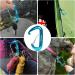 2 Pack Heavy-Duty Blue 12KN Snap Hooks | Large Aluminum Carabiners for Outdoor Camping & Hammocks - Buy Online on GoSupps.com