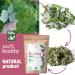 ORIGEENS Organic Raspberry Leaf Tea 200g for Pregnancy, Menstruation & Fertility - Buy Online on GoSupps.com