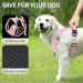 Heele Dog Crockery & No-Pull Harness - Soft Breathable Reflective & Padded for Medium Dogs - XL Uni-Pink - Buy Online on GoSupps.com