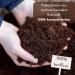 Buy ProFlora Coconut Soil Terrarium Substrate - Biodegradable Peat-Free Coconut Fiber (8 Pieces) for Eco-Friendly Planting - International Shipping Available - Buy Online on GoSupps.com