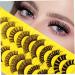 SKISUNO 10 Pairs Eyelashes False Eyelash Fake Eyelash Make up Accessories Fake Lashes Cosplay Eyelash Manga Lashes Cluster Women Makeup Tools Full False Lashes Pointy Extend Vacation Fiber - Buy Online on GoSupps.com