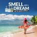 DEMETER Water Foolproof Blending Set of 3 Perfumes - Caribbean Sea Salt Air New Zealand - 3 Unique 1 Oz Cologne Sprays - Buy Online on GoSupps.com