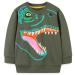 Boys Sweatshirt for Kids Dinosaur Jumper Cotton Casual Top Long Sleeve Pullover T-Shirt Toddler Girls Shirts Baby Clothes 1-8 Years 5-6 Years Dinosaur 08
