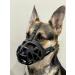 Breathable Dog Muzzle - X-Large Blue Basket Muzzle for All Breeds | Stops Biting Barking & Chewing - Buy Online on GoSupps.com