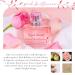 English Laundry Pink Brilliance EDP 3.4 fl. oz. 4 Fl Oz (Pack of 1) - Buy Online on GoSupps.com