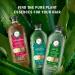 Herbal Essences Bio: Renew Aloe & Eucalyptus Conditioner - Scalp Balance 13.5 Oz | International Shipping - Buy Online on GoSupps.com