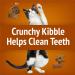 Friskies Party Mix Cat Treats Chicken Lovers Crunch with Real Chicken - 170 g Pouch (1 Pack) Chicken Lovers Crunch 170 g (Pack of 1) - Buy Online on GoSupps.com