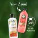 Herbal Essences Pure Plants Grapefruit Volumizing Shampoo with Certified Camellia Oil and Aloe Vera For All Hair Types Especially Fine Hair 400 mL - Buy Online on GoSupps.com