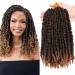 AuHeiAmeri 12" Pre-looped Curly Crochet Hair Extensions 8pcs 12 Inch (Pack of 8) #1b/27