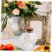 Zerodeko 4pcs Glass Heart Shaped Bottle Terrarium Wedding Decorations Decorative Wishing Bottle Glass Container with Lid Glass Jars Wishing Jar Origami Craft Bottle Glass Bottle Cork As Shownx4pcs 8.50X6.00X4.00CMx4pcs - Buy Online on GoSupps.com