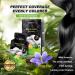 Natural Plant Hair Dye for Grey Hair | Black Bubble Shampoo for Men | Demi-Permanent 6.76 Fl Oz Box of 10 - Buy Online on GoSupps.com