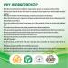 Herbsforever Gastro Care Capsules - Promotes Gastrointestinal Health - 90 Capsules - Buy Online on GoSupps.com