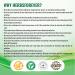 Gurmar Powder - Organic Gymnema Sylvestre - Non-GMO Vegan - 454g - International Shipping Available - Buy Online on GoSupps.com