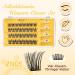 Self-Adhesive Eyelash Clusters - QUEWEL Natural Look No Glue Required 40 Pcs Reusable DIY Extensions for Beginners (ZN05) - Buy Online on GoSupps.com