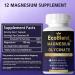 EcoBlend Magnesium Glycinate - Highly Absorbable Magnesium Supplement for Muscle Relaxation Sleep Support & Stress Relief Non-GMO & Vegan Friendly - Buy Online on GoSupps.com