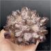 Natural Ghost Phantom Quartz Crystal Cluster Rock Stones Reiki Specimen Home Deco Crystal Cluster (Color : No.4) - Buy Online on GoSupps.com