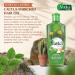 Dabur Vatika Naturals Cactus Hair Oil Serum - Strengthening, Moisturizing, and Nourishing for Healthy, Soft, and Silky Hair - Buy Online on GoSupps.com