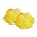 Bodylife Body Buffer Puff Exfoliating Bath & Shower Body Pouf Scrunchie Body Scrubber Yellow & White 55g Twin Pack