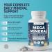 Mega Mineral Complete Complex with Vitamin D Calcium Magnesium Zinc Potassium Boron Selenium Chromium & 72 Trace Minerals Iron-Free USA Made 60 Tablets 60 Count (Pack of 1) - Buy Online on GoSupps.com