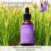 2PCS Cyperus Rotundus Oil -60ml Natural Cyperus Rotundus Oil is Used for Moisturizing and Soothing After Hair Removal. It Can Reduce Hair Growth on the Body and is Suitable For All Skin Types - Buy Online on GoSupps.com
