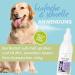 Itching Spray for Dogs | Anti-Itch & Mite Relief | 100% Natural with Tea Tree Oil & Lavender - 200ml - Buy Online on GoSupps.com