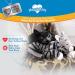 HuggieKitty by Pets Know Best - Cuddly Cat Toy with Soothing Sound & Warmth for Relaxation - Purr & Heartbeat Heating Pack Grey - Buy Online on GoSupps.com