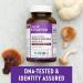 New Chapter LifeShield Immune Support Capsules - Organic Reishi Mushroom, Vegan & Non-GMO - 120 Count - Buy Online on GoSupps.com